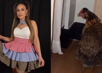 Simone mendes leva galinha que ganhou e adotou em show para o hotel