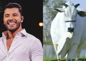 Murilo huff compra vaca de r$ 17 milhões em meio à disputa com dona ruth